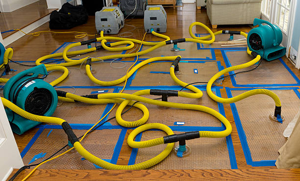 Professional Basement Flood Cleanup technician working in Brooten, MN